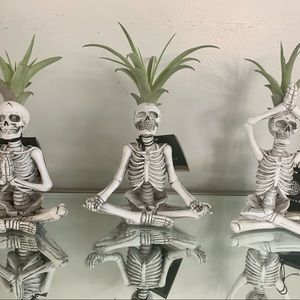 Trader Joe’s yogi skeletons